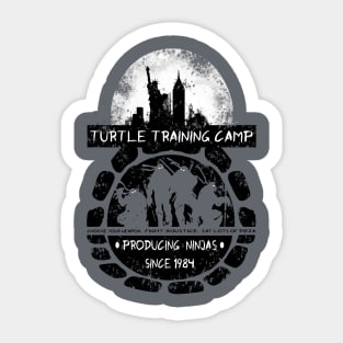 Turtle Training Camp Sticker